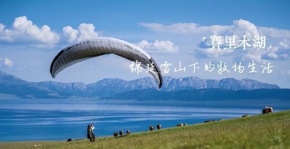 探秘新疆：暑假跟团游的完美选择