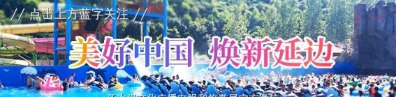 荷韵悠长：探秘图们江红莲的夏日奇观