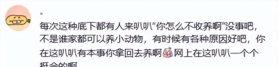 邻居善意为流浪猫提供庇护，却遭投诉：现在的人都怎么了？最近发生在我身边的一件小事，让我感到无比的痛心和困惑。我们小区里有只流浪的小猫，性格温顺得让人心疼。它亲近人，无论是谁，只要伸出手，它都会乖乖地让人抚摸，从未发过脾气。这样一只可爱的小生命，却在寒冷的冬风中颠沛流离。