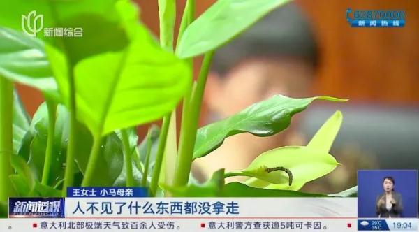 23岁海归称遭遇诈骗随即神秘失踪，被发现时正只身前往泰国……