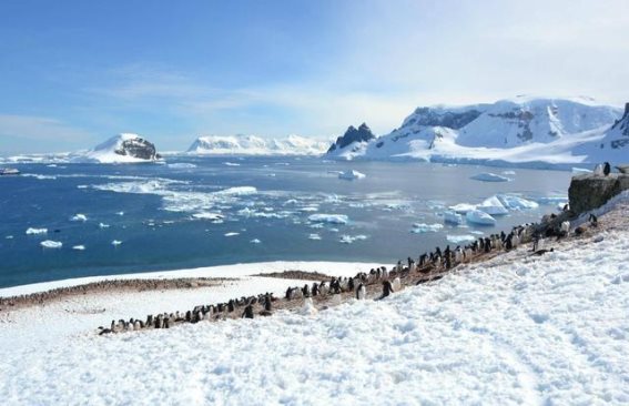 南极洲的领土之争：全球关注的冰雪大陆