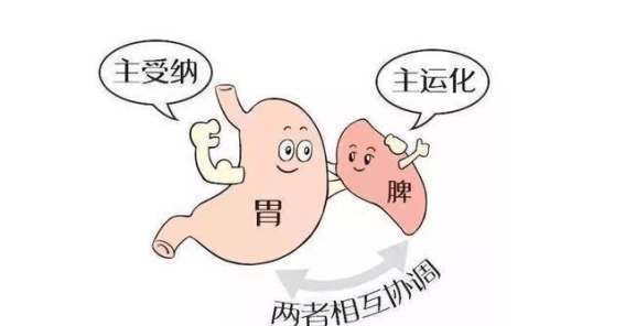 抑郁症的“痰毒”之谜：从清除痰邪到气血调理