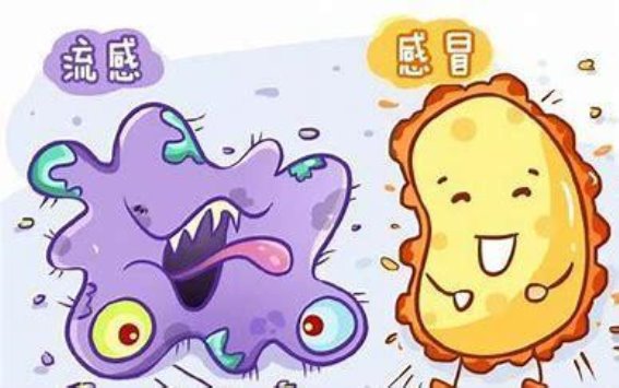 如何科学区分普通感冒与流感？