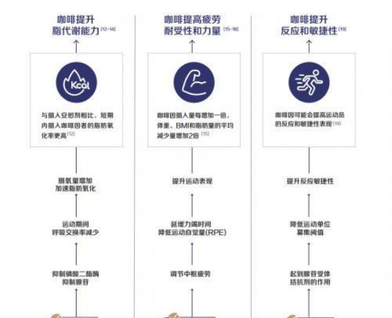 从续命神器”到健康饮品”，今年秋天喝瑞幸的原因又多了一个