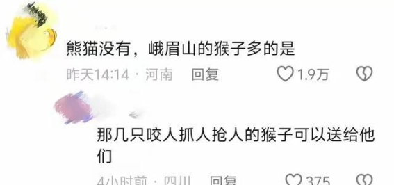 大熊猫外交与网络调侃：礼物背后的文化对话