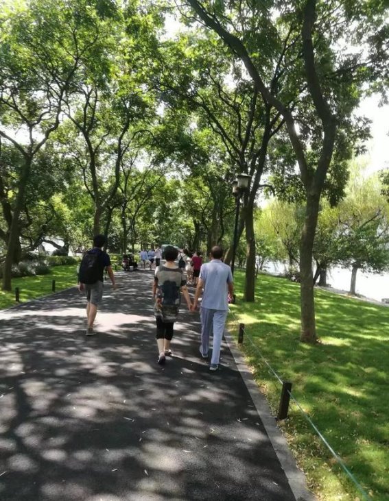 最爱湖东行不足，绿杨阴里白沙堤——探寻西湖的春日情怀一张明信片，带我穿越时光，重回白居易笔下的西湖。那是一个炎热的夏天，手中的明信片却带来一阵清凉：“最爱湖东行不足，绿杨阴里白沙堤。”白居易的《钱塘湖春行》以其简洁的笔触，将西湖的早春美景描绘得栩栩如生。这最后两句诗，正是全诗的灵魂所在，让我在炎炎夏日里也能感受到春天的生机与活力。