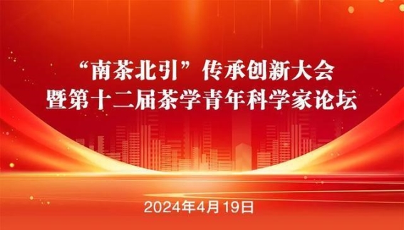 见证日照的高光时刻