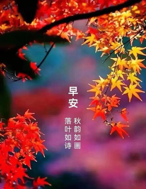 热刺成为榜首争夺者，曼联战斗力全无
