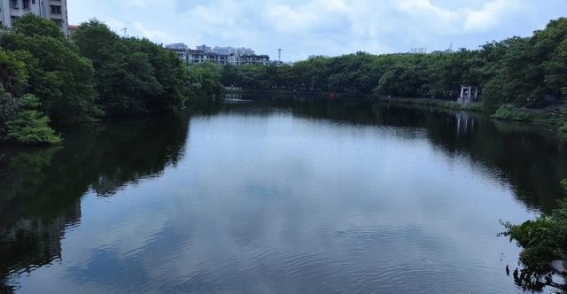 清新公园：老年人的宁静港湾与社会变迁的缩影