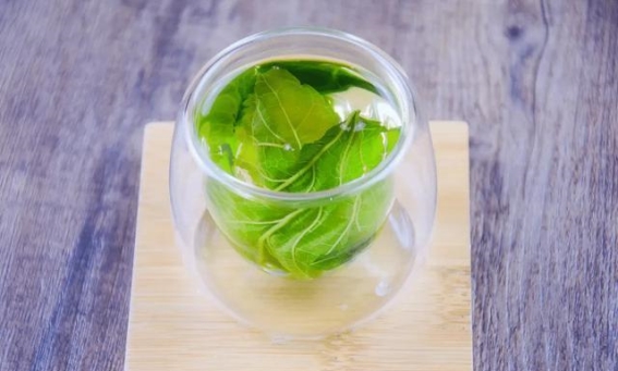 桑叶的四大药理作用：探索其药食双重功能