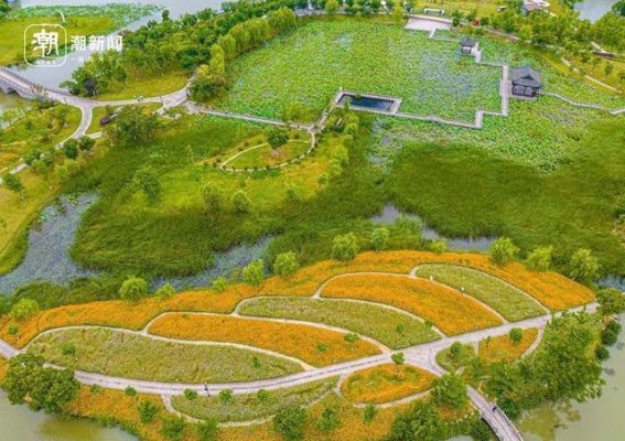 走进温岭城市花海：探寻大自然的绚烂画卷