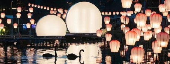 风雪中的温暖——冬季节庆活动的欢聚与热情