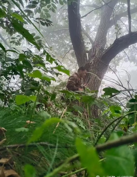 临朐山林的秋日奇观：自然赋予的珍贵宝藏