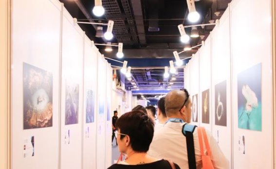 重新点燃潜水激情：DRT SHOW北京潜水展四年后再度归来