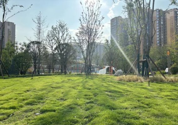 彭州体育公园二期盛大开幕，开启健康新生活