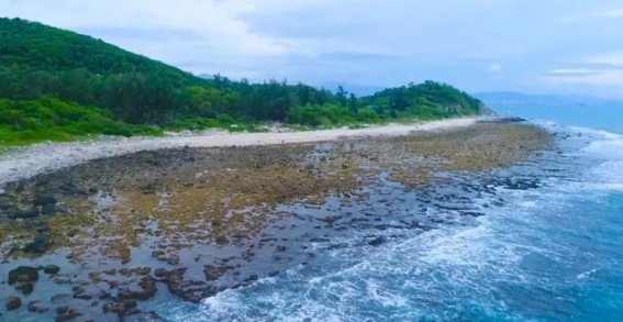 海南民宿行业价格暴跌，背后的挑战与机遇
