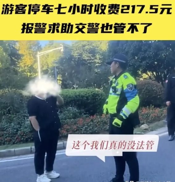 南京明孝陵停车费风波：何以解景区停车难？