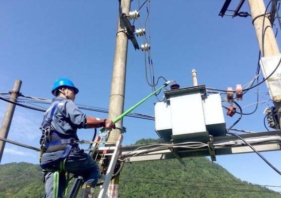 浙江小伙捡到稀有甲虫引发的价值风波：金钱与责任的抉择