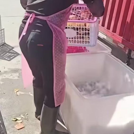 橘子泡药水800，不泡600：你真的了解水果的保鲜秘密吗？