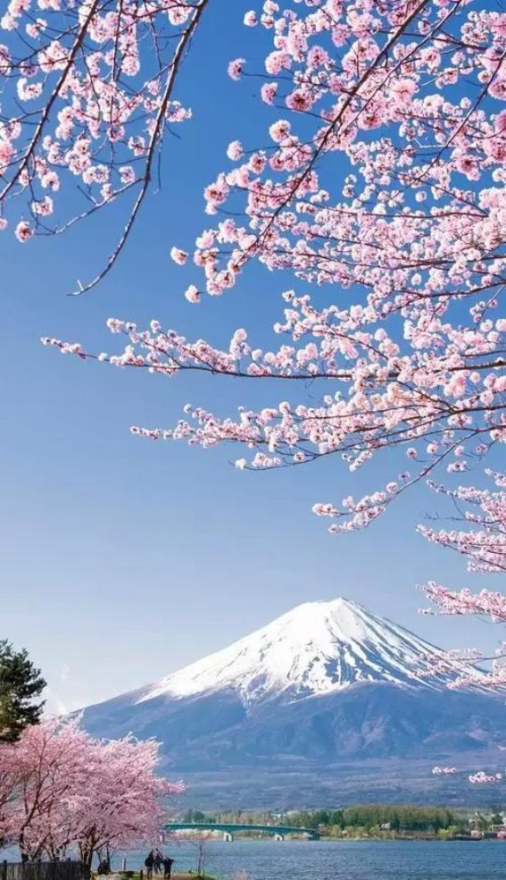富士山泉水池硬币问题：保护环境的挑战与应对
