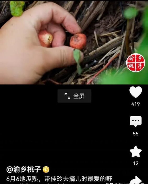这种野果果，90后应该没见过，80.70.60儿时有趣的回忆