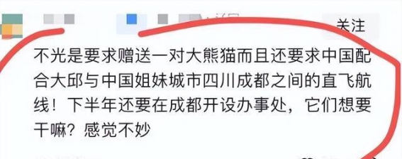 笑谈国宝：韩国市长想要大熊猫，网友调侃引发热议