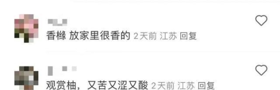 注意！这些景观果实不能随便吃
