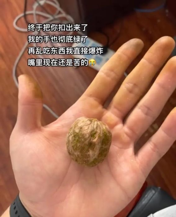 笑麻了，网友把青皮核桃当做梨啃皮吃！南方网友表示从来没见过？