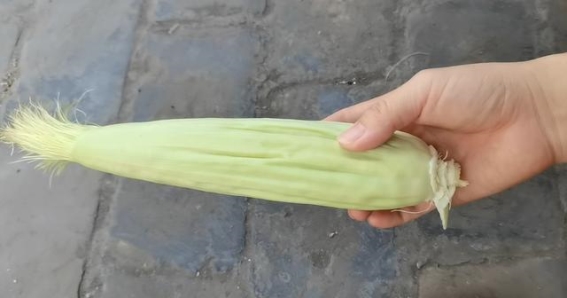 煮玉米时，多加这一步，煮出来的玉米香甜软糯超好吃，快学学
