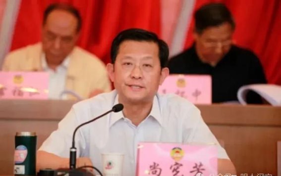 权力与文学的交织：从尚宪芳到官员作家的深层反思