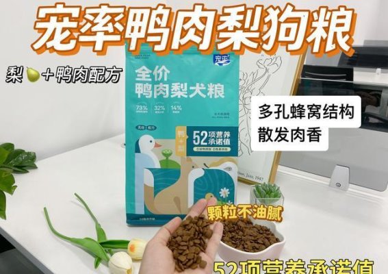 惯狗如杀狗，你是否培养了一只不听话的“白眼狼”？
