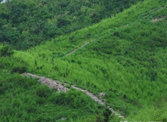 探索杭州鸬鸟山：80%人错过的自然秘境