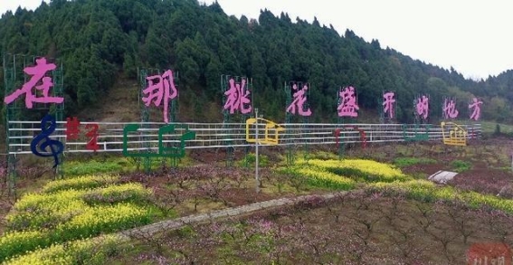大英县第六届桃花美食春游季活动：春光明媚，美食与文化共舞