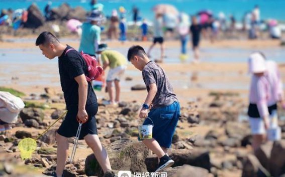 日照太公岛牡蛎公园：在海滩上“赶海”拾贝，感受夏日悠闲时光