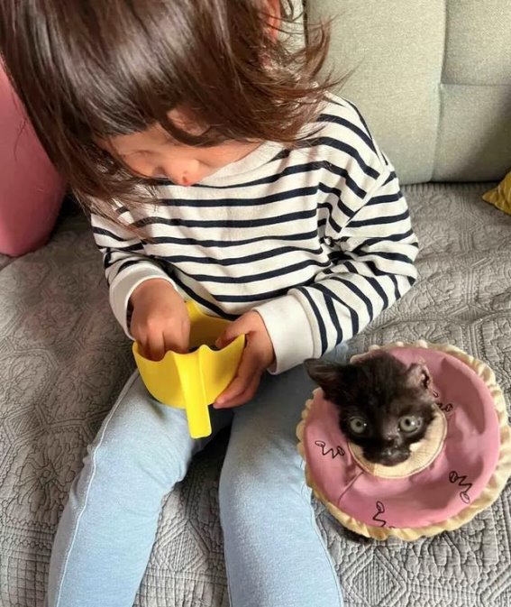 孩子的善举与责任感：救治流浪猫的小孩哥