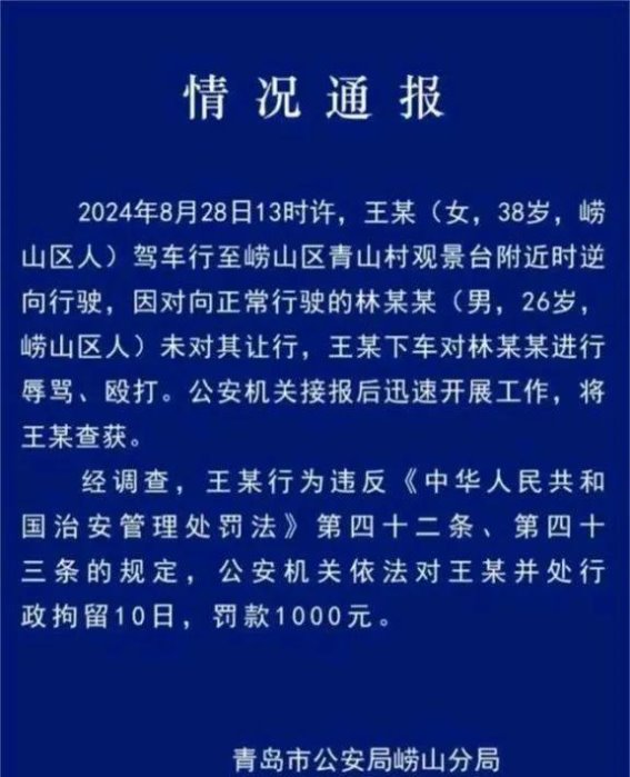 青岛路虎女车主逆行撞车事件：豪车女司机的法律与道德审判
