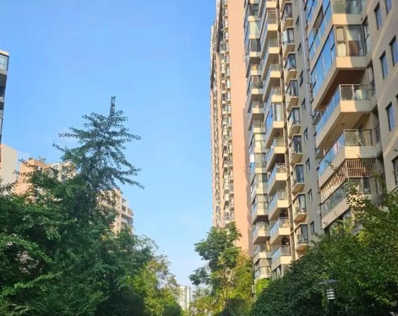 北京一保安招待同乡，5人喝光雇主5瓶54年茅台，结果喝掉一套房