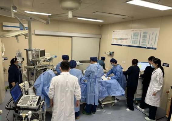 3毫克致命！男子因天冷进补严重休克，生附子毒性不可小觑