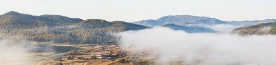 山东与江苏，沿海两省风情比拼：哪个更适合你？